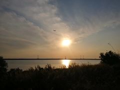 -宝安西湾红树林湿地公园