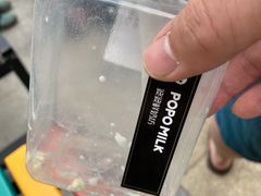 抹茶奶酪拿铁-ICEPOPO MILK(玖洲道店)