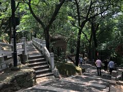 -灵岩山风景区