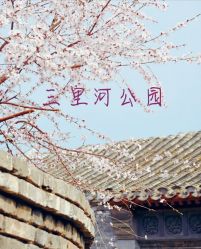 -Oasis Beauty水磨坊科技美肤中心