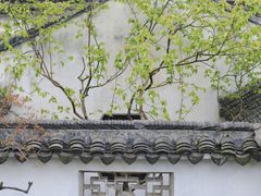 -拙政园