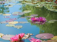 -国家植物园南园