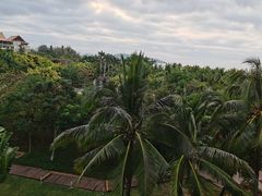 -三亚海棠湾万丽度假酒店