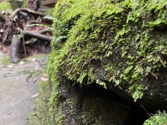 -昆明青龙峡风景区