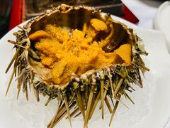 -红鼎豆捞·非遗鲍皇汤火锅(宝丰路店)