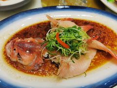 清蒸东星斑-尖沙咀酒店(大沥店)