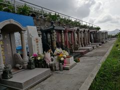 -黄家驹墓