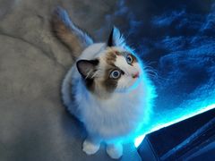 -零纪元VR体验馆·桌游(黄浦店)