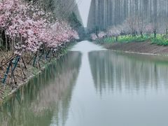 -东平国家森林公园