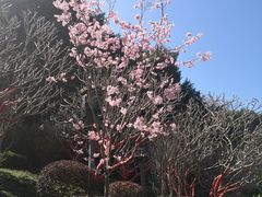 -乌山风景区