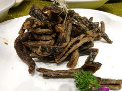 -申宴酒楼(王子百货店)