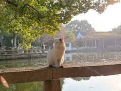 -西园寺素食(西园弄戒幢律寺店)