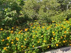 -长春公园(普阳街道)