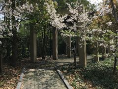 -黄兴公园