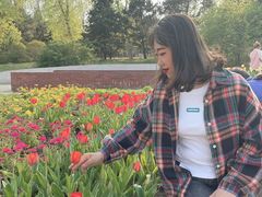 -北京植物园南门售票处