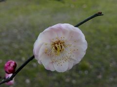 android_upload_pic-汤湖公园