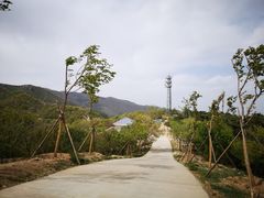 -北京西山国家森林公园