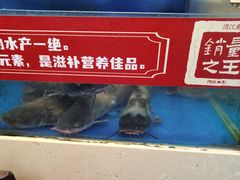 -集草轩·重庆麻辣烤鱼(西湖道店)