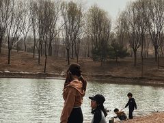 -东郊湿地公园