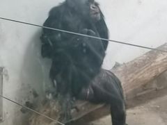 -新疆天山野生动物园