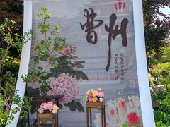 -曹州牡丹园