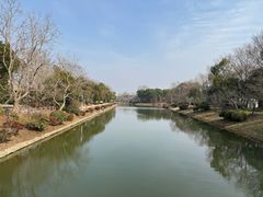 -上海海湾国家森林公园