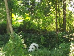 -桤木河湿地公园