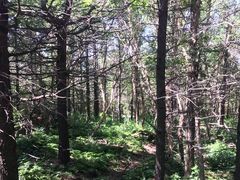 -白草畔自然风景区