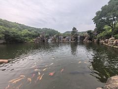 -白马涧龙池景区