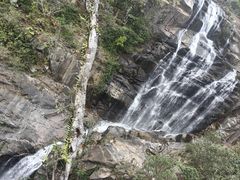 -海南热带雨林国家公园吊罗山景区