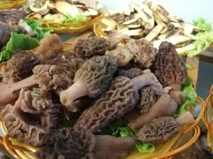 -菌海森林·非遗野生菌火锅(西山区滇池路摩根道店)
