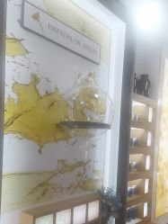 -CAMENAE嘉媚乐