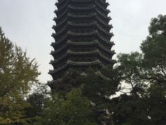 -博雅塔
