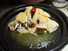 手撕清蒸鸡-佬肥猫(国华广场店)