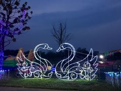 -天王浮山樱花园