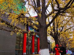 -四川大学(华西校区)