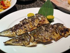 -正苑26年海鲜烤肉•牛尾汤汤饭(东港店)