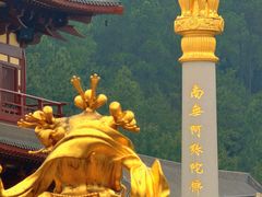 -庐山风景名胜区-东林大佛