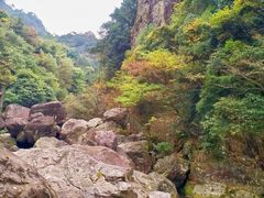-百杖潭景区