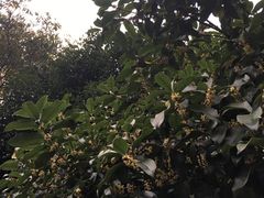 -杭州少年儿童公园