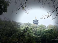 -浙江西子宾馆·牡丹厅