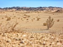 -党河风情线国家水利风景区
