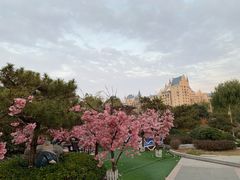 -郑州银基黄帝宫御温泉