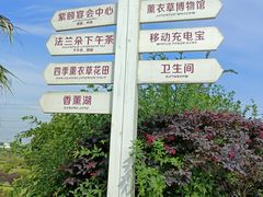 -紫颐香薰山谷景区