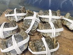 -阳澄湖大闸蟹·琼灵阁牌品牌连锁(吴中总店)