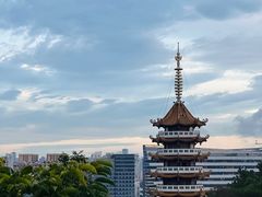 -仙岳公园