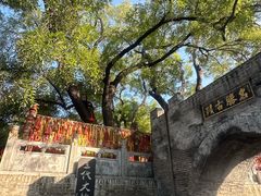 -大槐树寻根祭祖园