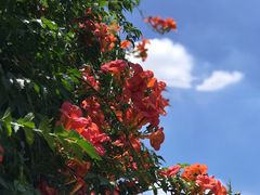 -桂林公园(地铁站)