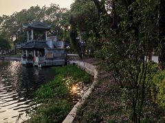 -荔湾湖公园
