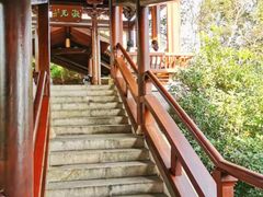 -杭州半山国家森林公园